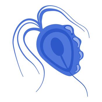 tricomoniasis microscopio estudiar vector