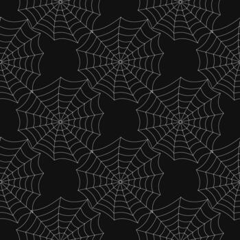 Spider web pattern. vector