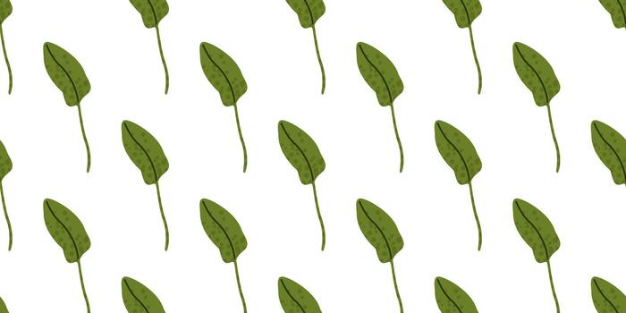 Spring Sorrel Leaf Botanical Pattern vector