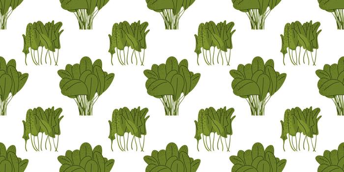 Spring Spinach Leaf Botanical Pattern vector
