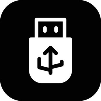 USB destello conducir cuadrado botón icono vector