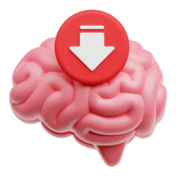 verminderen hersenen 3d icoon geïsoleerd Aan transparant achtergrond png