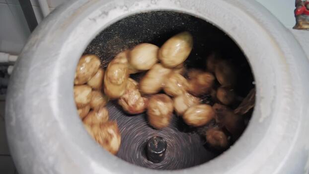 automático batata limpeza dentro industrial caindo máquina de lavar. video