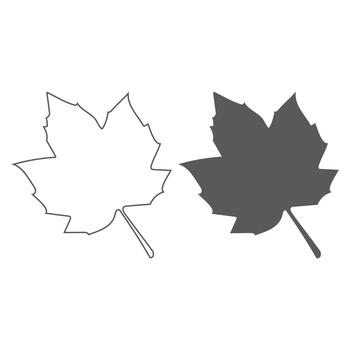 arce hoja contorno y sólido icono conjunto vector