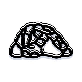 humano cerebro evolución desarrollo proceso concepto vector