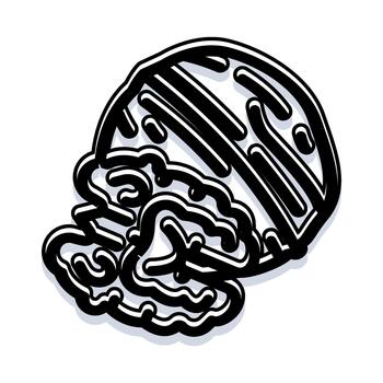 nuez nuez cáscara núcleo cerebro concepto vector