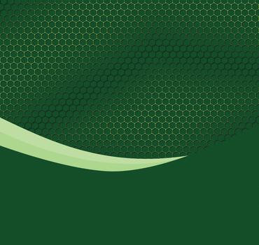 Green Abstract Wave Pattern Background vector