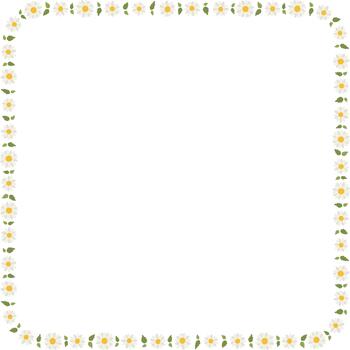 Tiny daisy square frame vector