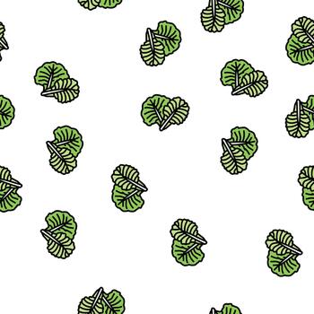 leaf cabbage seamless pattern vector