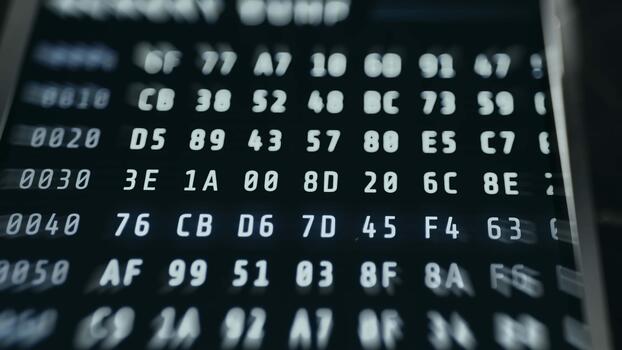 hexadecimal computador código, memória despejo video