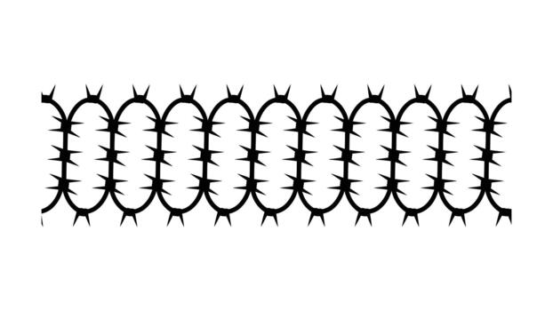 mordaz cable modelo vector