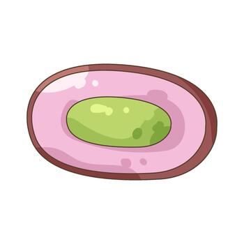 java plum Illustration vector