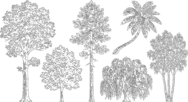 Assorted trees elevation view collection vector