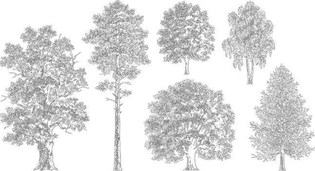 Tree illustrations elevation view set vector