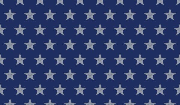 Star usa pattern background vector