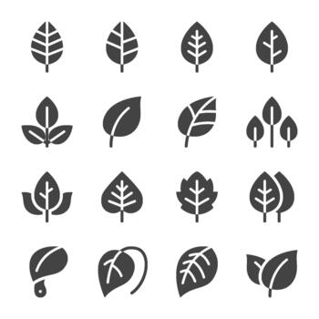 leaf solid icon set vector
