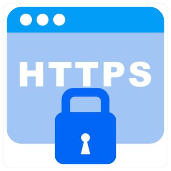 https seguridad icono concepto en monocromo vector