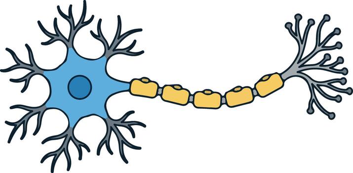 Neuron cell structure vector