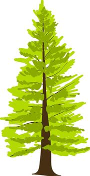 en capas pino árbol vector