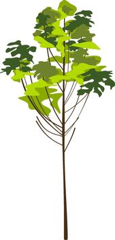 Sparse Green Tree vector