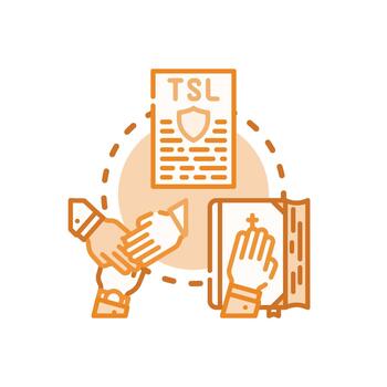 autenticado https apretón de manos. protocolo estableciendo seguro datos conexión conjunto vector