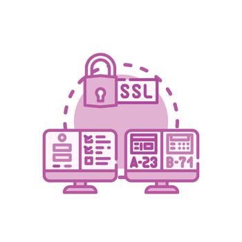 Web application security testing identifying software vulnerabilities vector