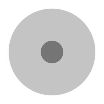 Disk flat icon vector