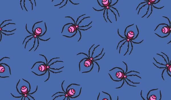 Spider pattern background design vector