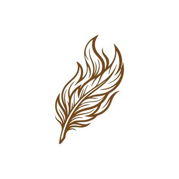 feather logo design vector