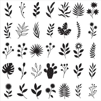 Boho Botanical Elements vector