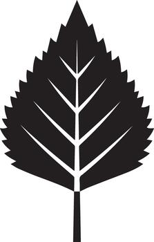Solid Fall Leaf Silhouette Icon vector