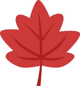Leaf - Maple, Red vector
