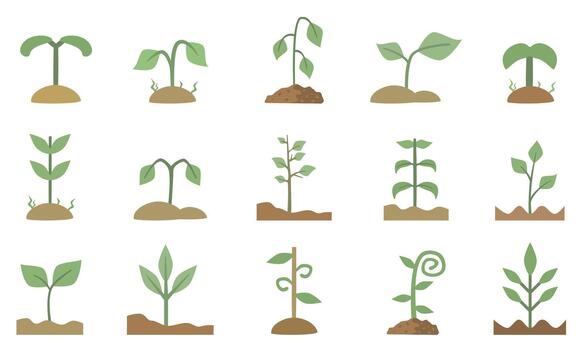 sprout bundle set vector