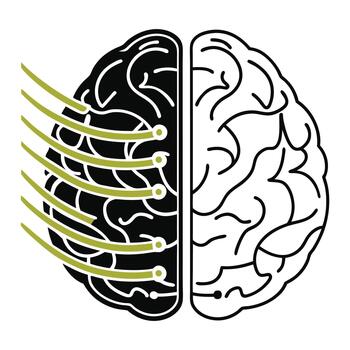 Human brain divided data processing concept vector