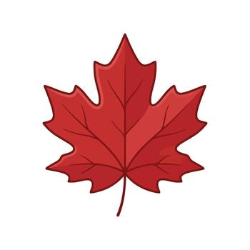 Maple Leaf Flat Icon vector