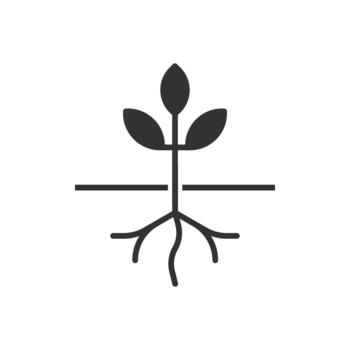 Plant Root Icon vector