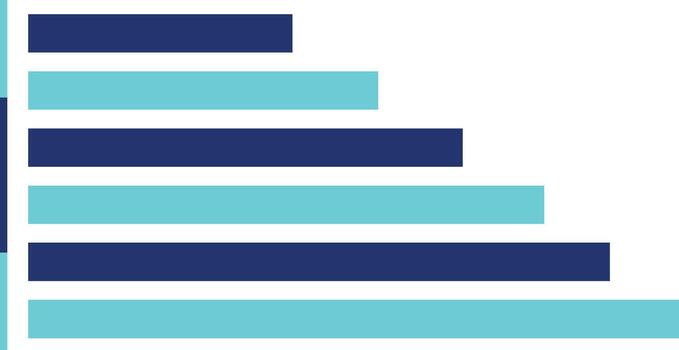 Horizontal Bar Chart Data Visualization Graphic vector