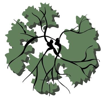 Segmented Canopy Deciduous Tree vector