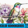 Click to view uploads for Md.Sahajalal  Miah 