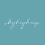 Cliquez pour afficher les importations pour skyhighup