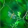 Click to view uploads for Mohammad  Ashaduzzaman 