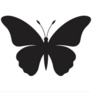 Click to view uploads for Butter Fly