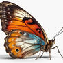 Click to view uploads for KYRYL PALMIN