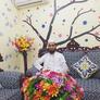 Click to view uploads for Imdadur Rahman Emon