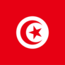 Click to view uploads for Mohamed Aziz Trimech
