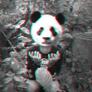 Click to view uploads for Muhamad Irwan