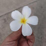 Click to view uploads for Phongsakorn Singsee