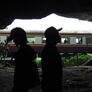 Click to view uploads for Utain Tawangtan