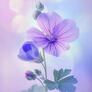 Click to view uploads for Anowar 