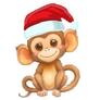 Click to view uploads for LazyMonkey Journey